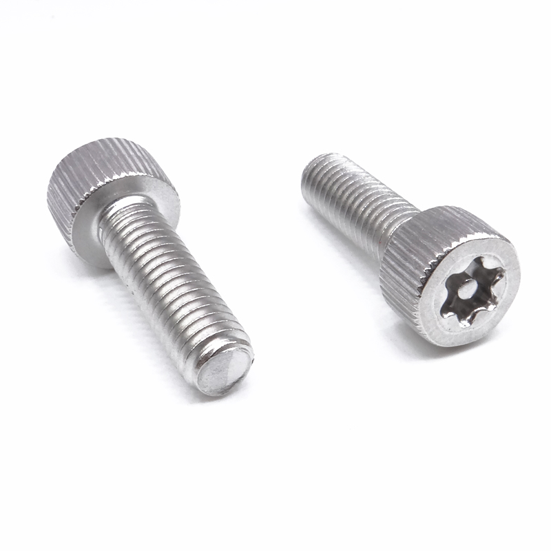 SS316 Socket Head Torx Security Screws