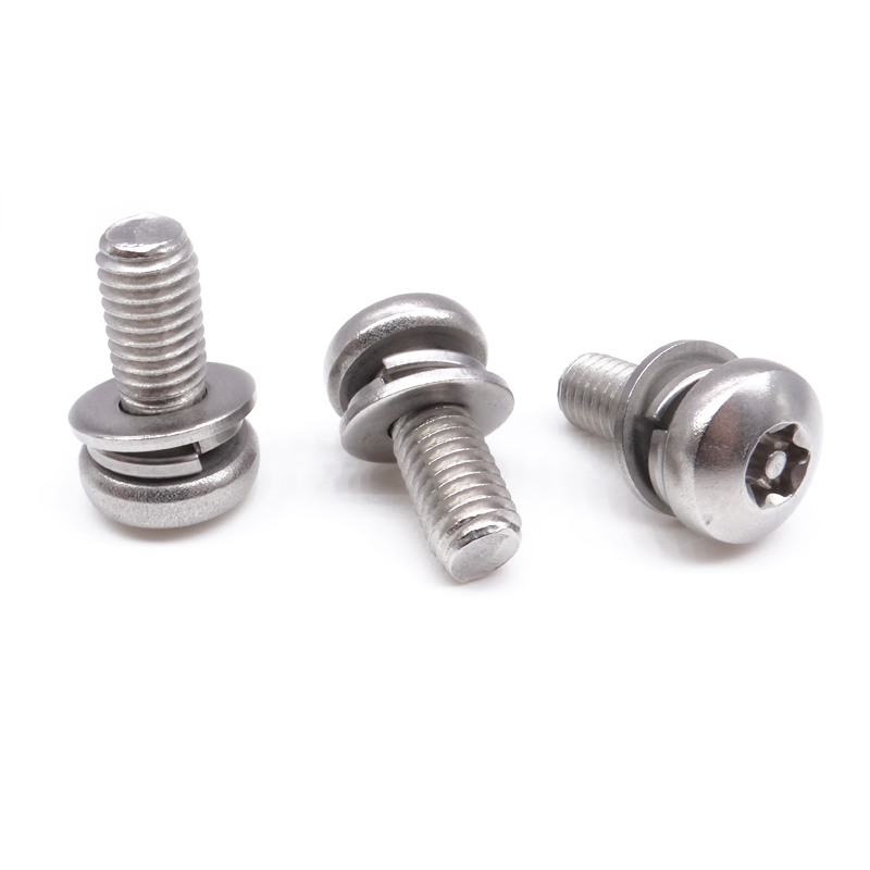 Temper-Risisitant Torx Security Screws OEM