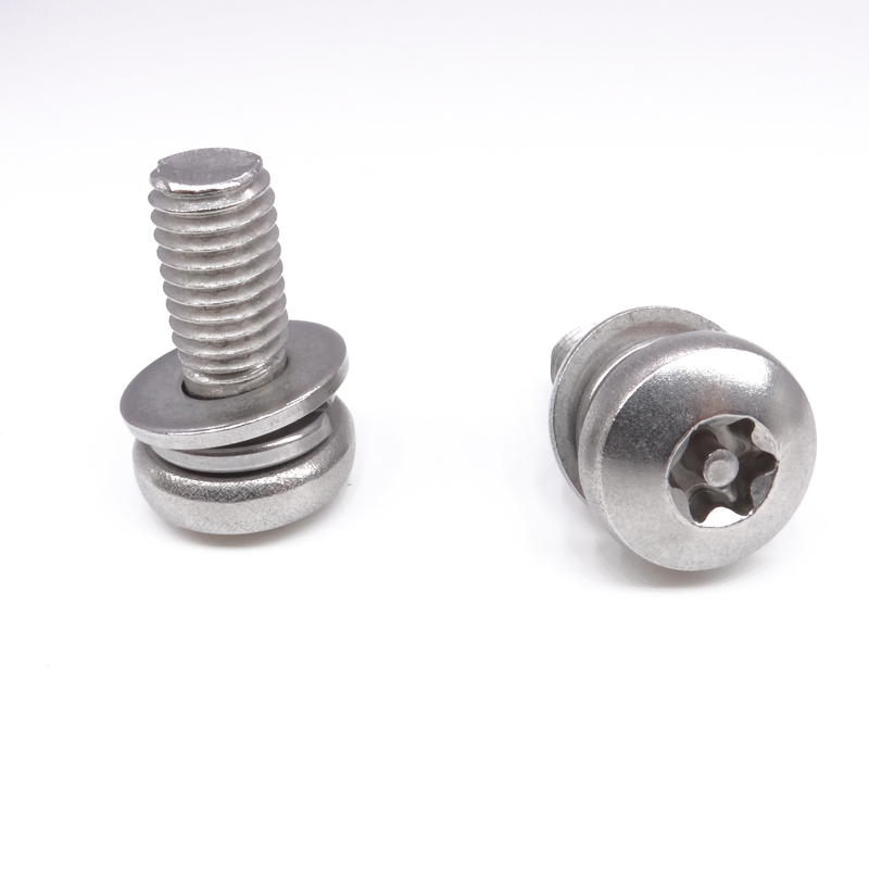 Temper-Risisitant Torx Security Screws with washer assemble